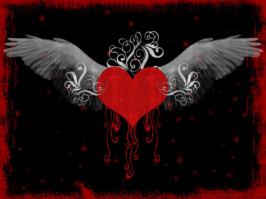 Broken Wings Images Wallpapers