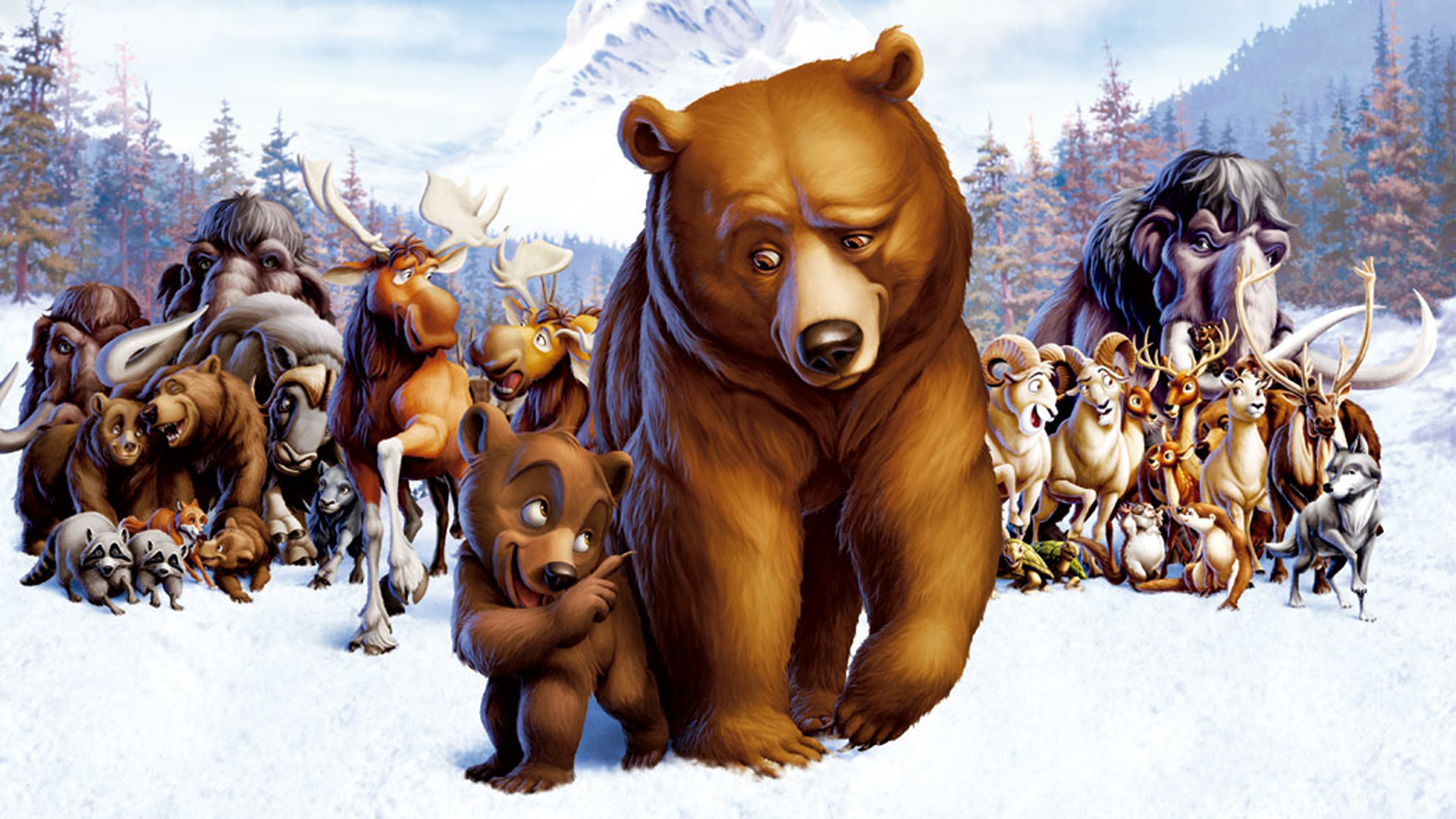 Brother Bear Wallpapers