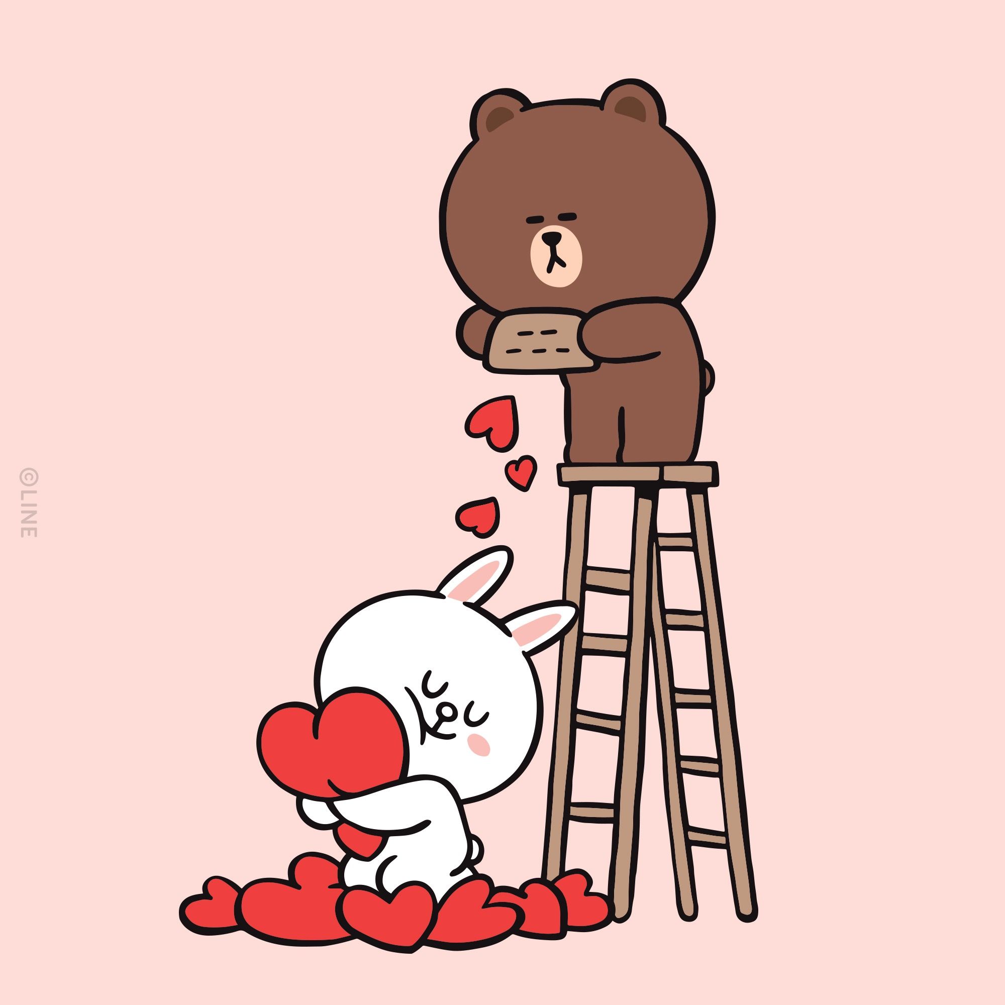 Brown And Cony Wallpapers