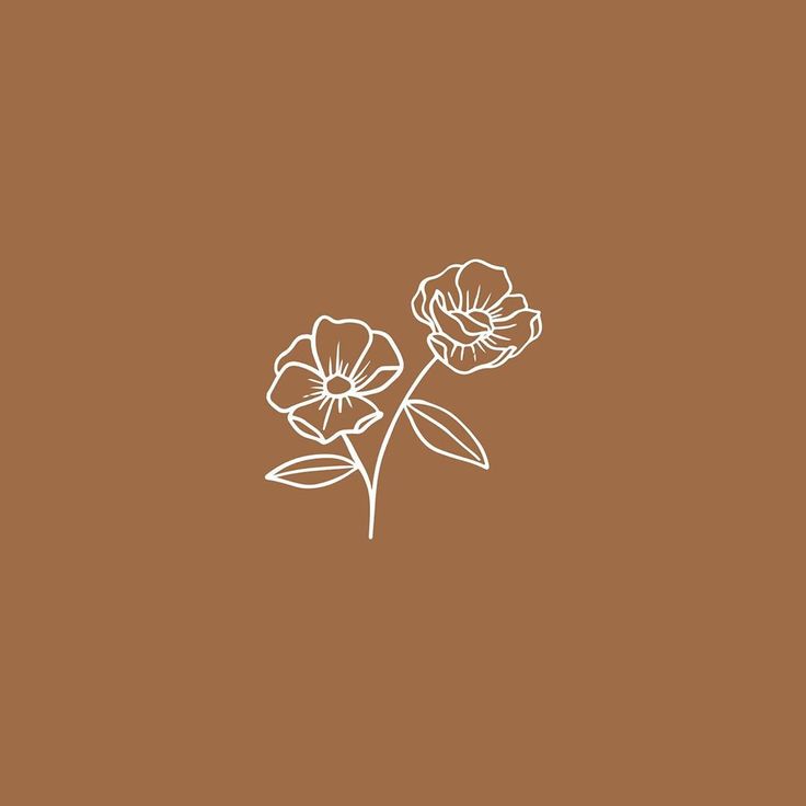 Brown Flower Wallpapers