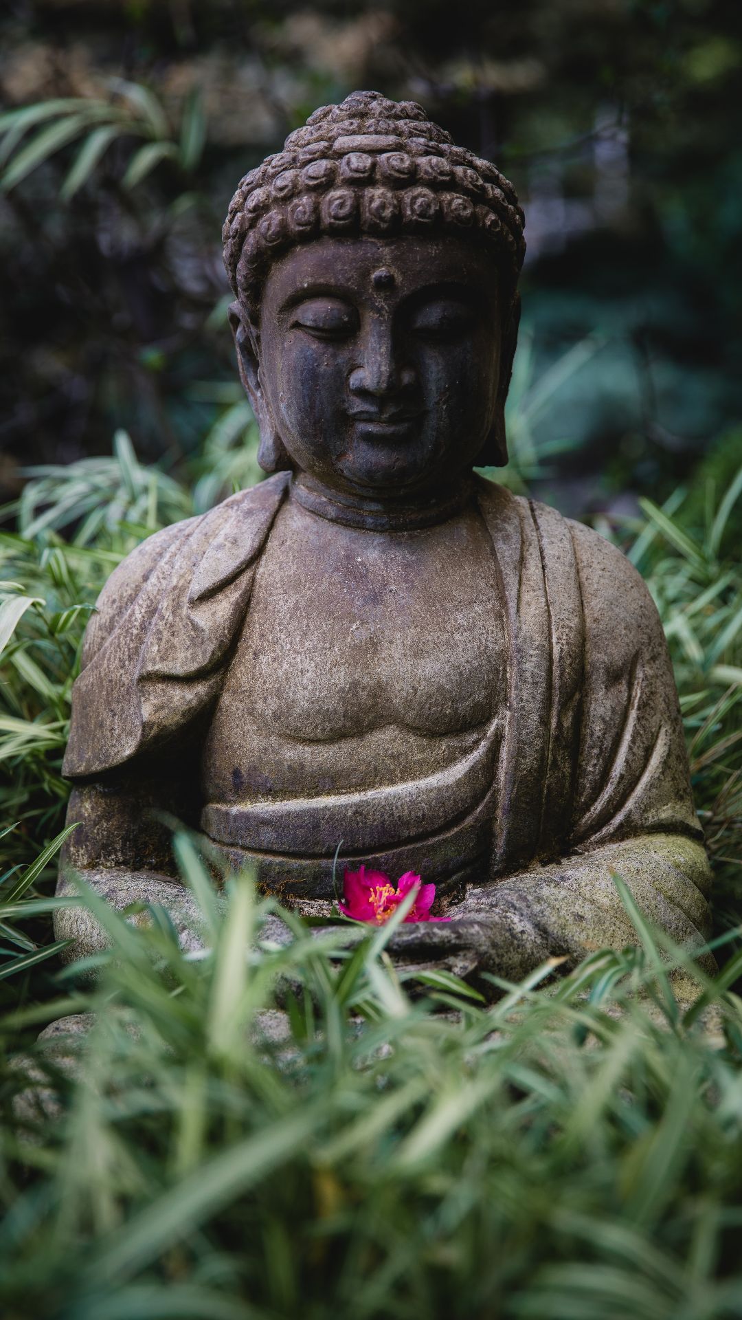 Buddha Iphone Wallpapers