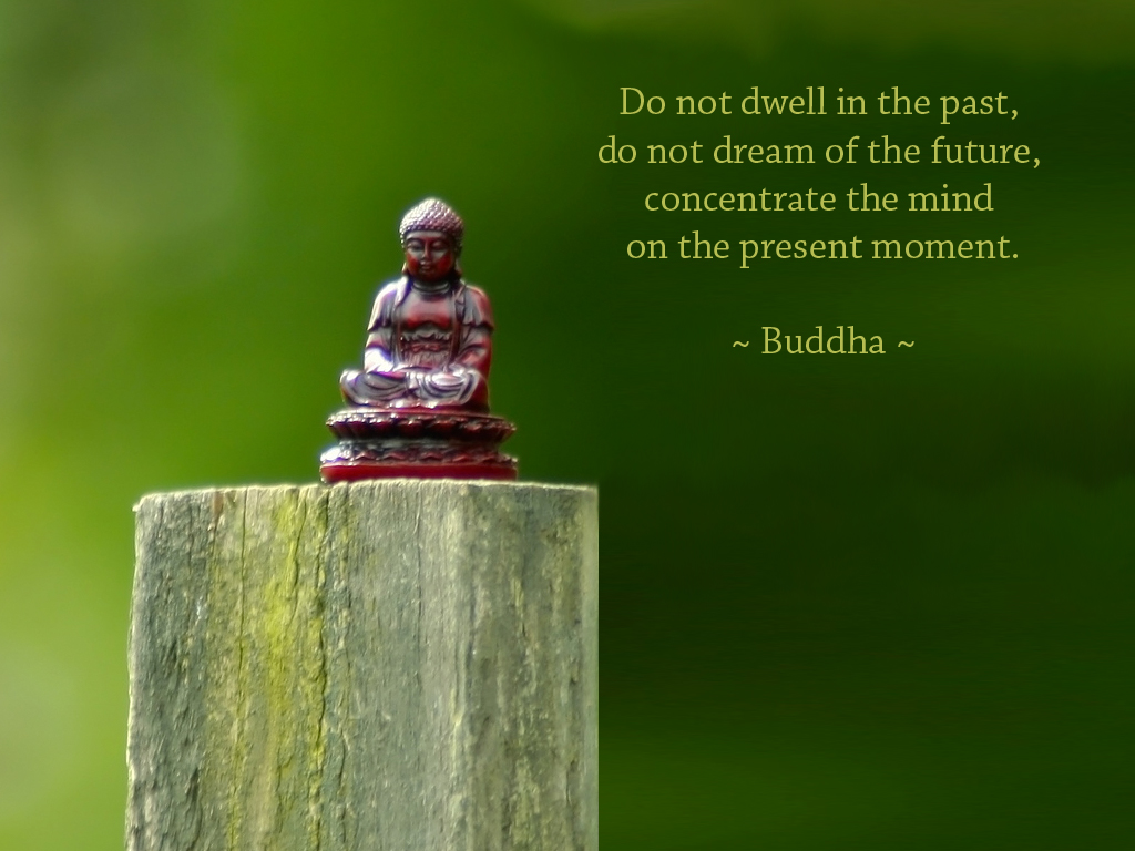 Buddha Quotes Wallpapers