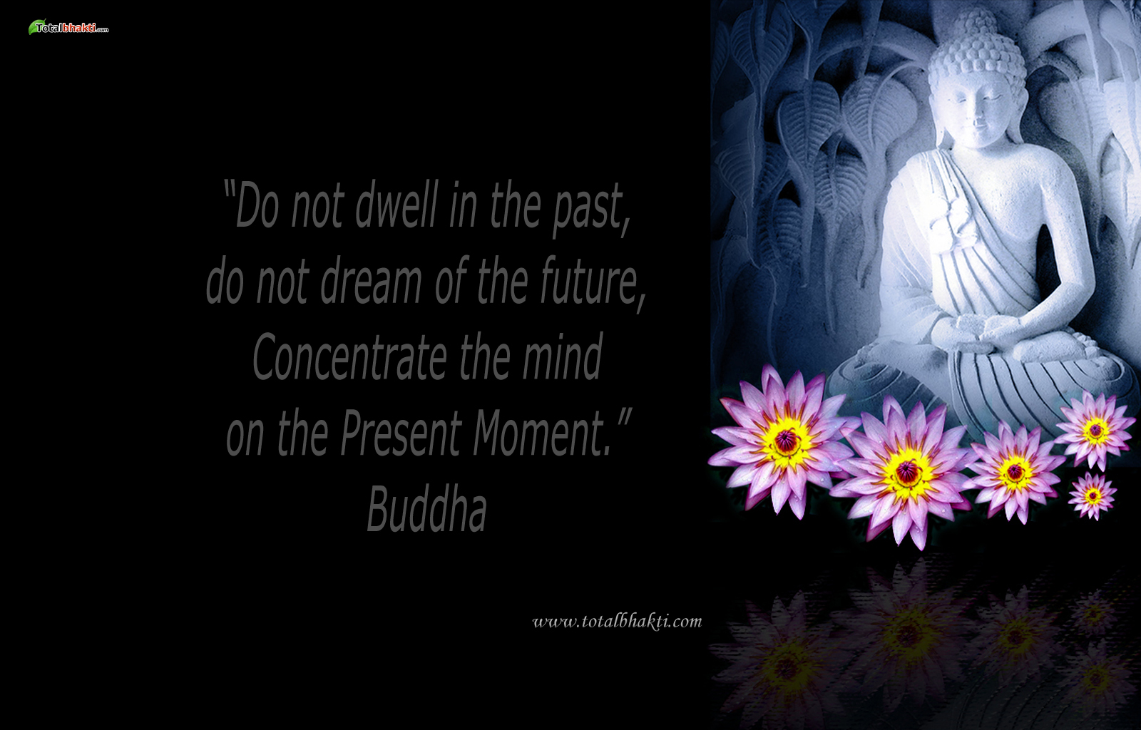 Buddha Screensavers Wallpapers