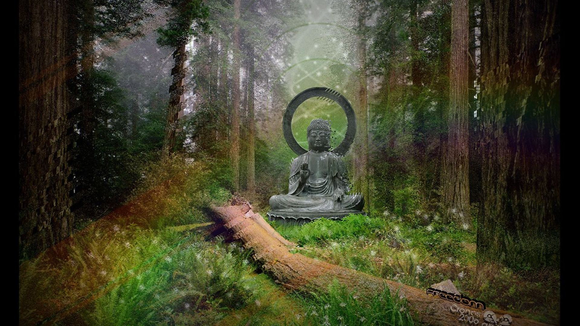 Buddha Screensavers Wallpapers