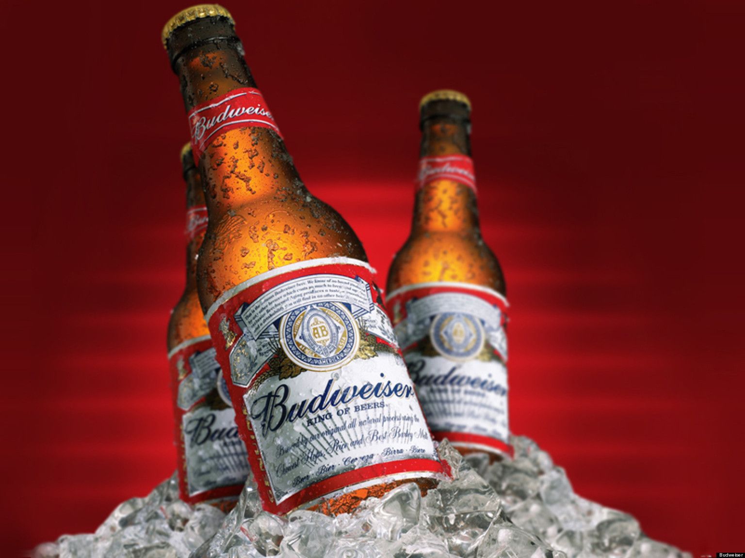 Budweiser Iphone Wallpapers