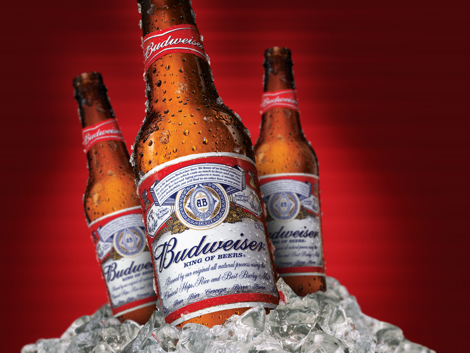 Budweiser Iphone Wallpapers