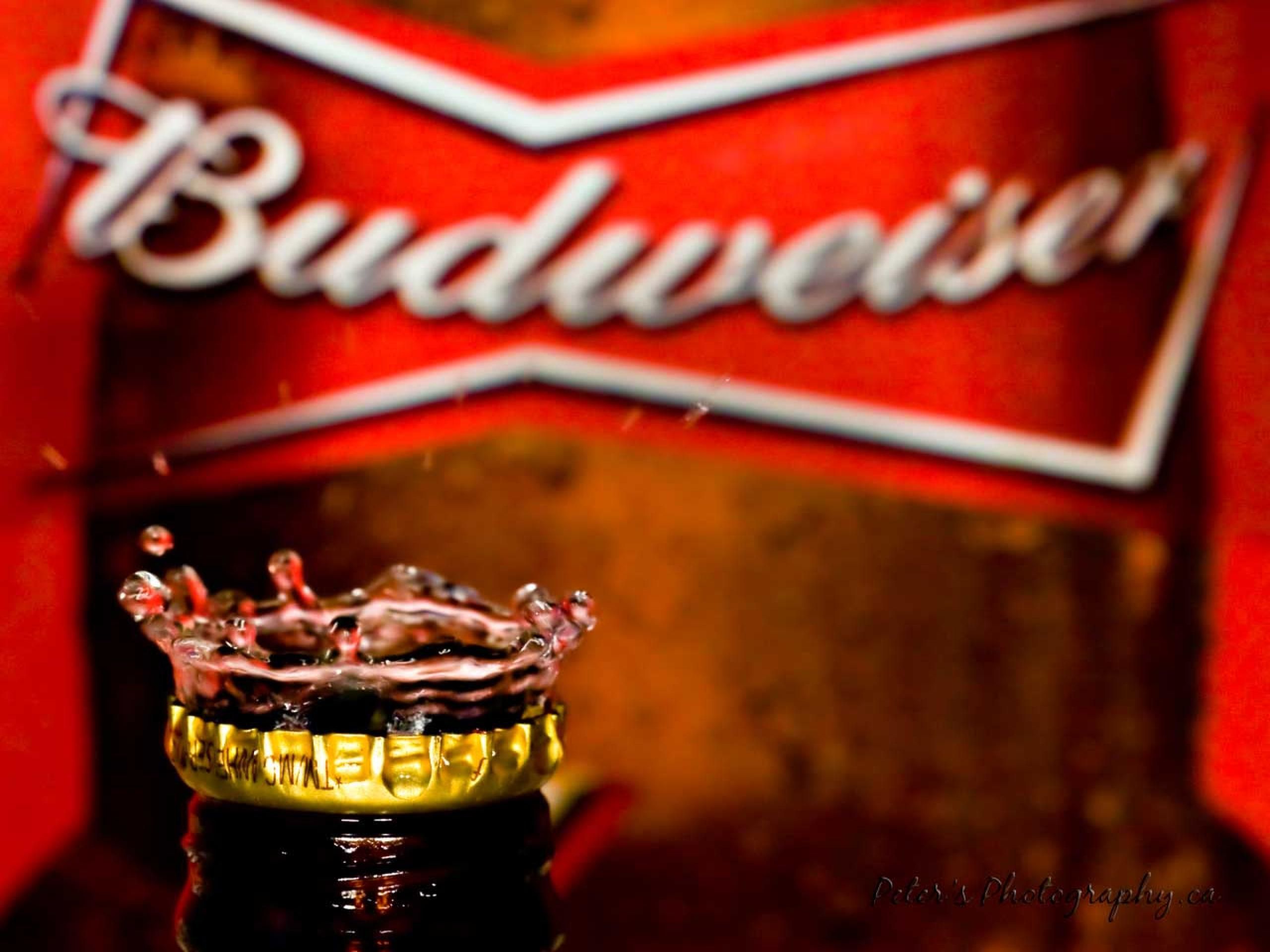 Budweiser Iphone Wallpapers