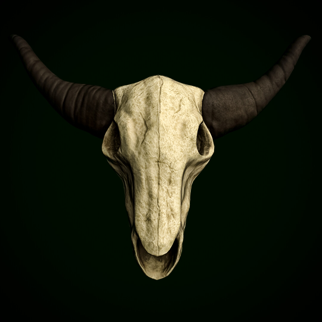 Bull Skull Wallpapers