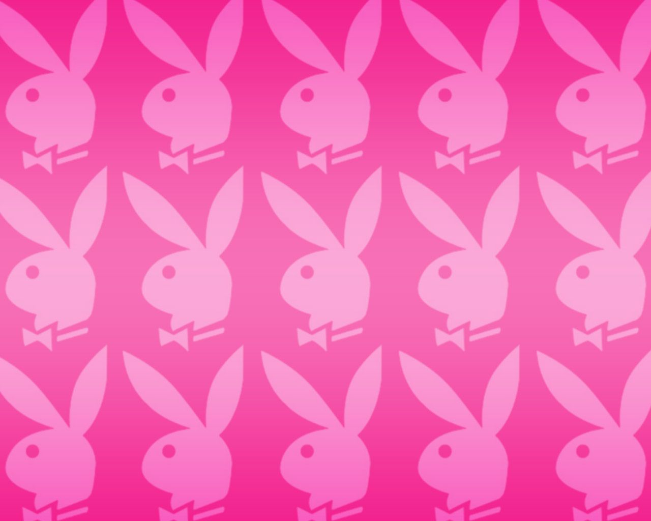 Bunny Phone Wallpapers