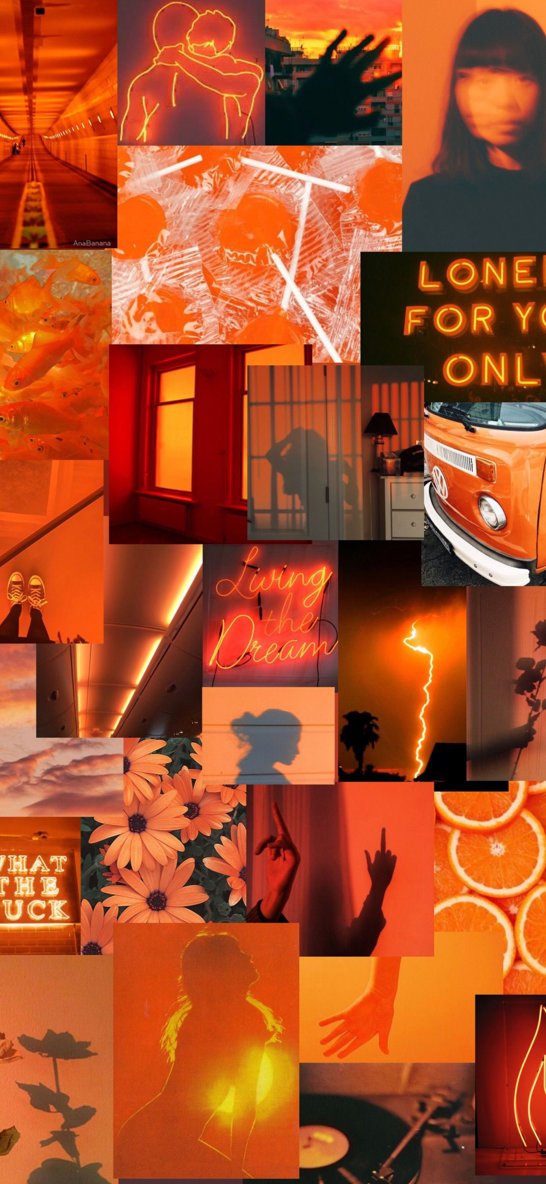 Burnt Orange Aesthetic Wallpapers