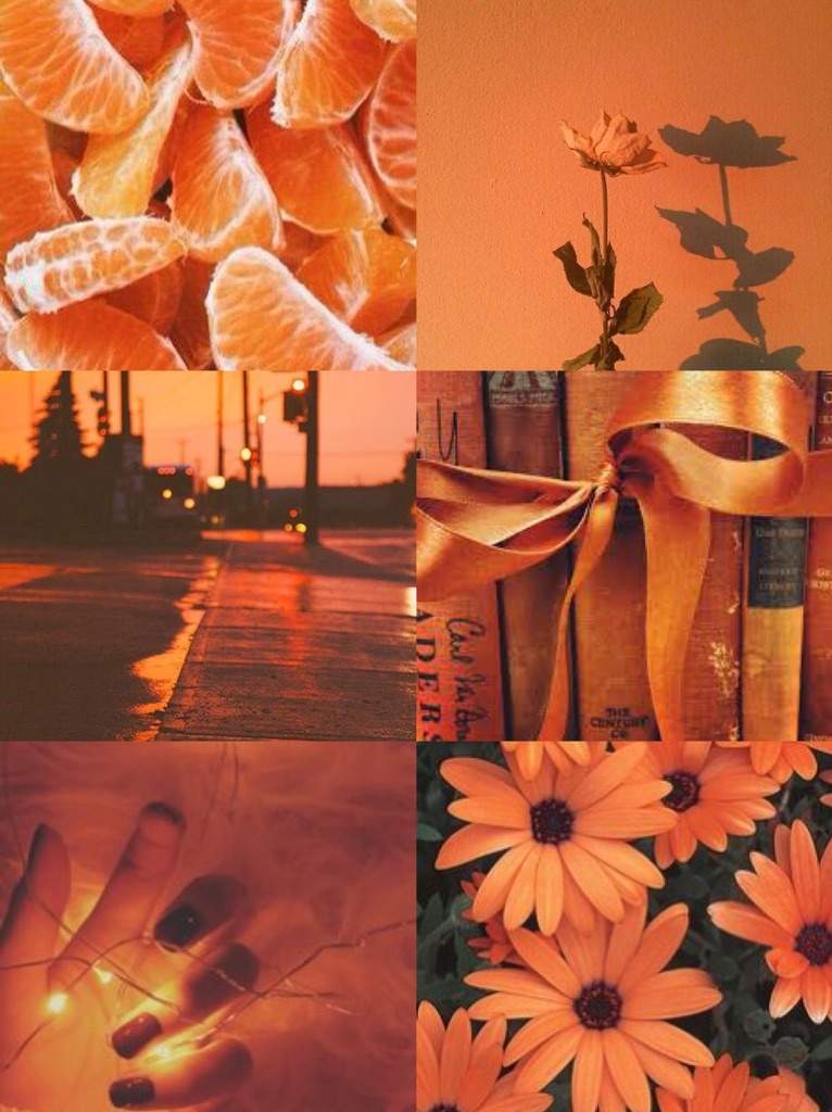 Burnt Orange Aesthetic Wallpapers