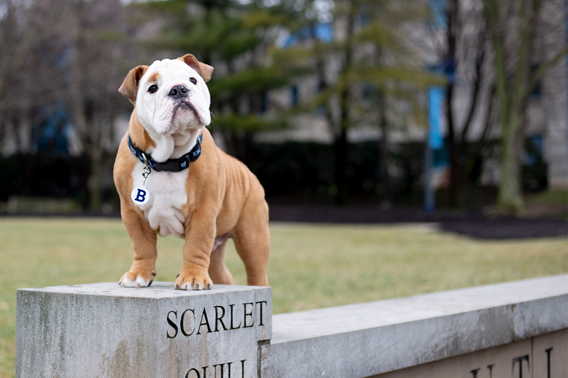 Butler University Wallpapers