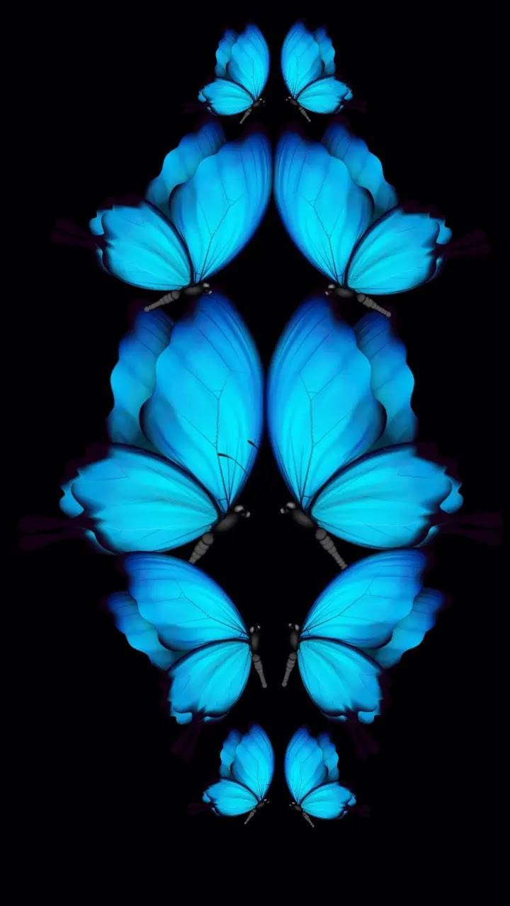Butterfly Effect Wallpapers