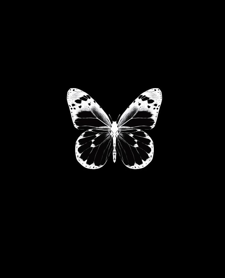 Butterfly Effect Wallpapers