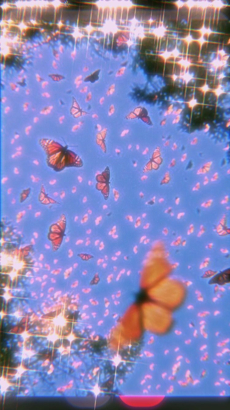 Butterfly Effect Wallpapers