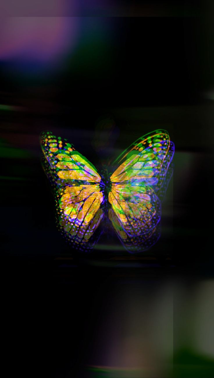 Butterfly Effect Wallpapers