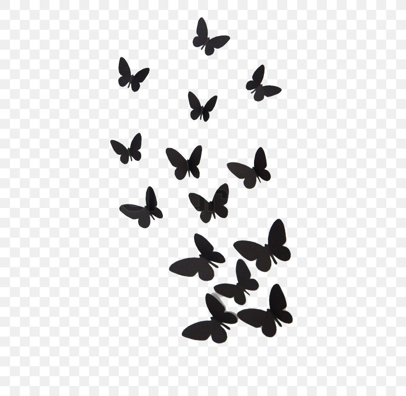 Butterfly Black And White Wallpapers