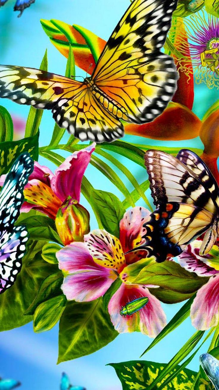 Butterfly For Android Wallpapers