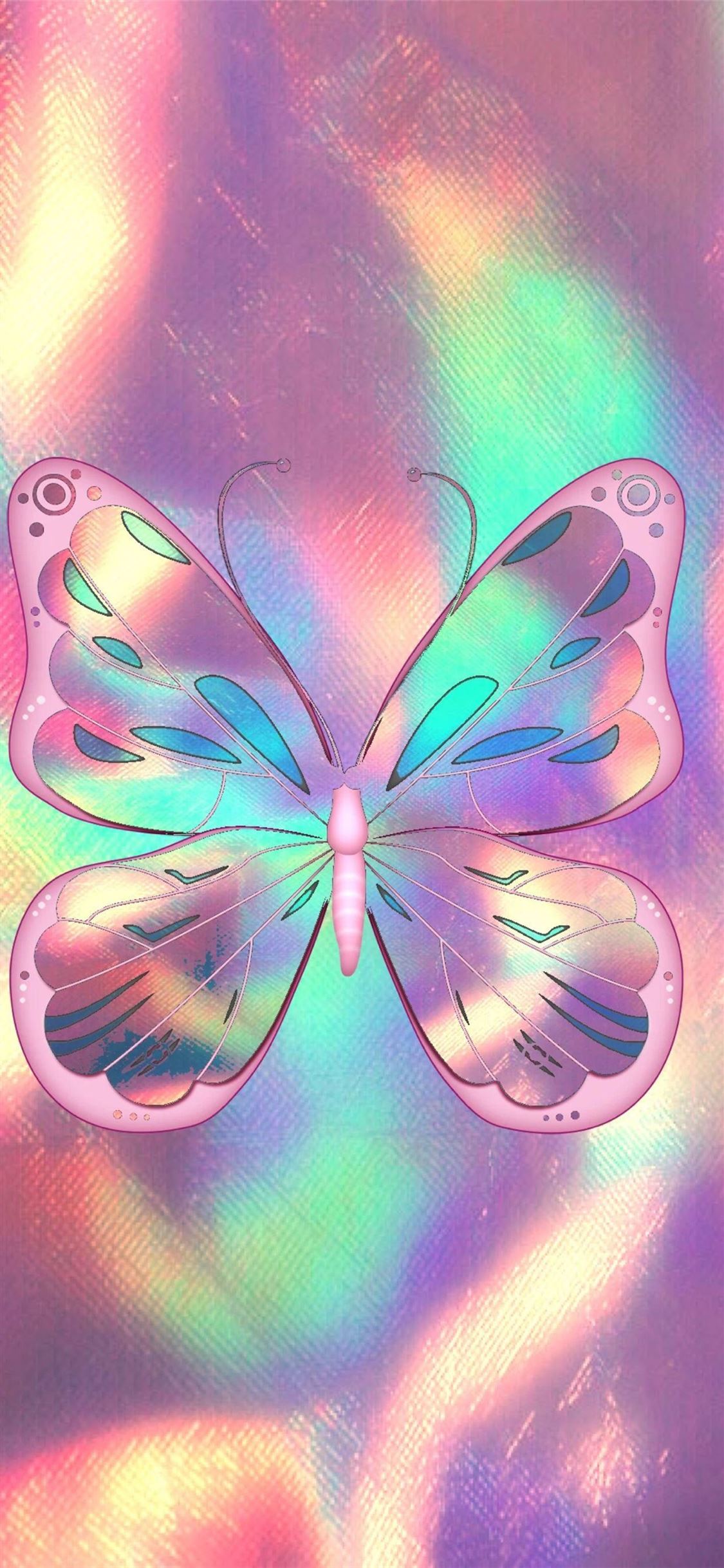 Butterfly Hd Wallpapers