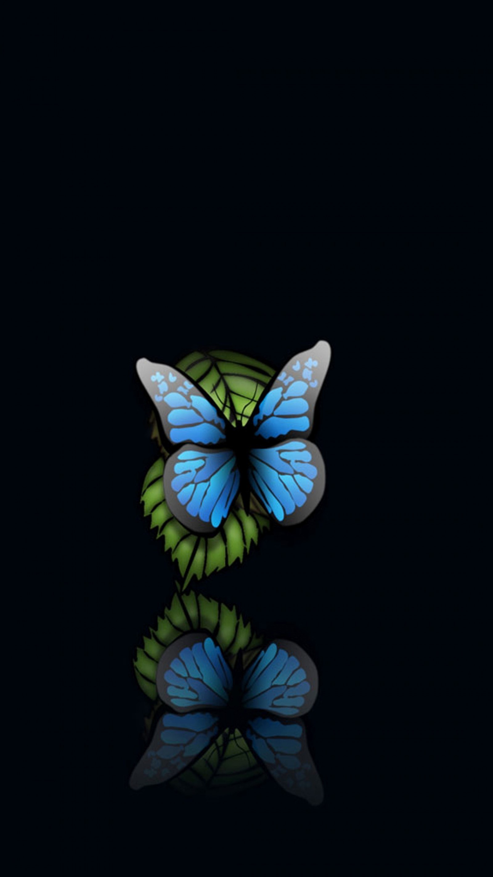 Butterfly Hd Wallpapers