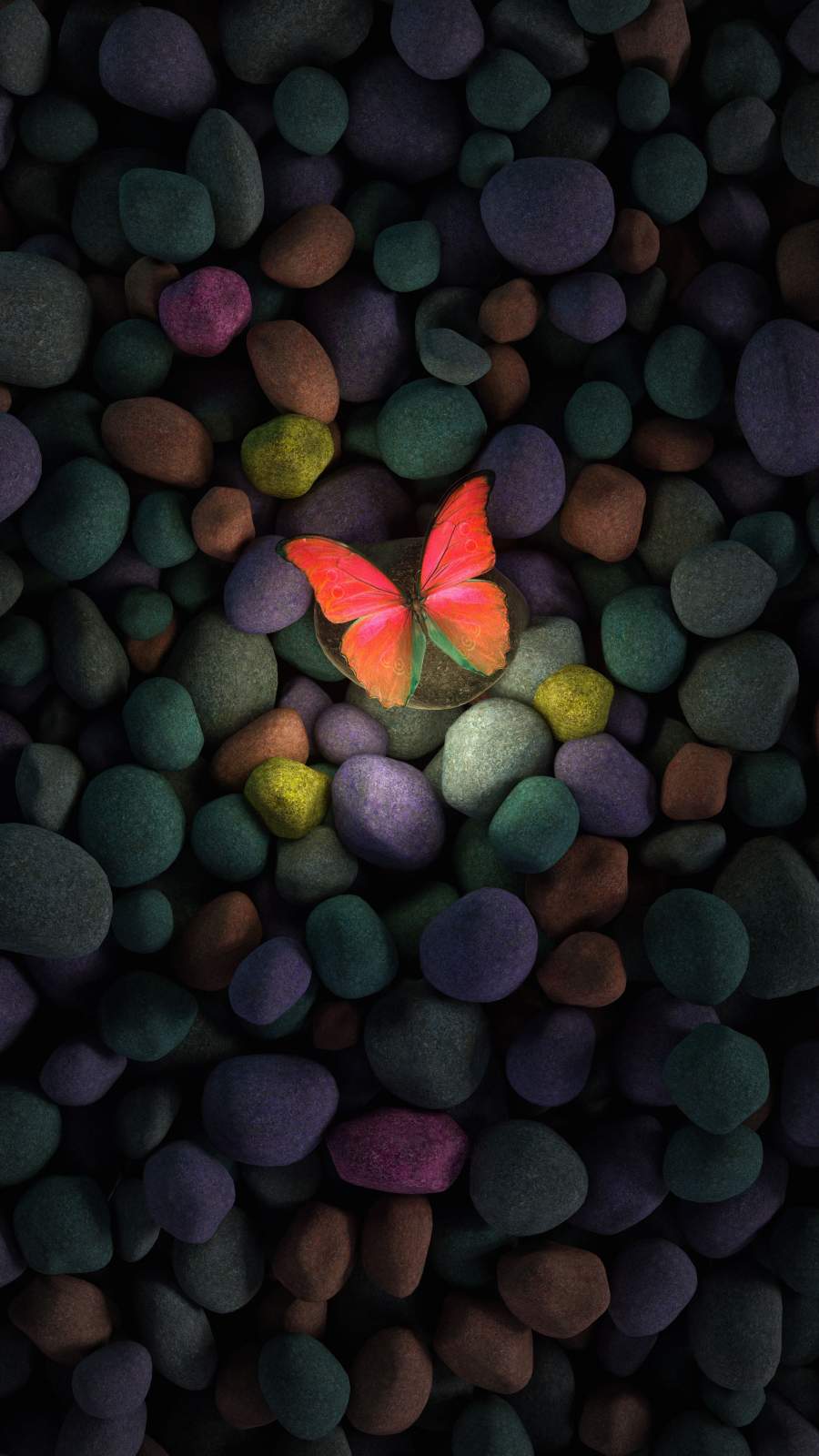 Butterfly Iphone Wallpapers