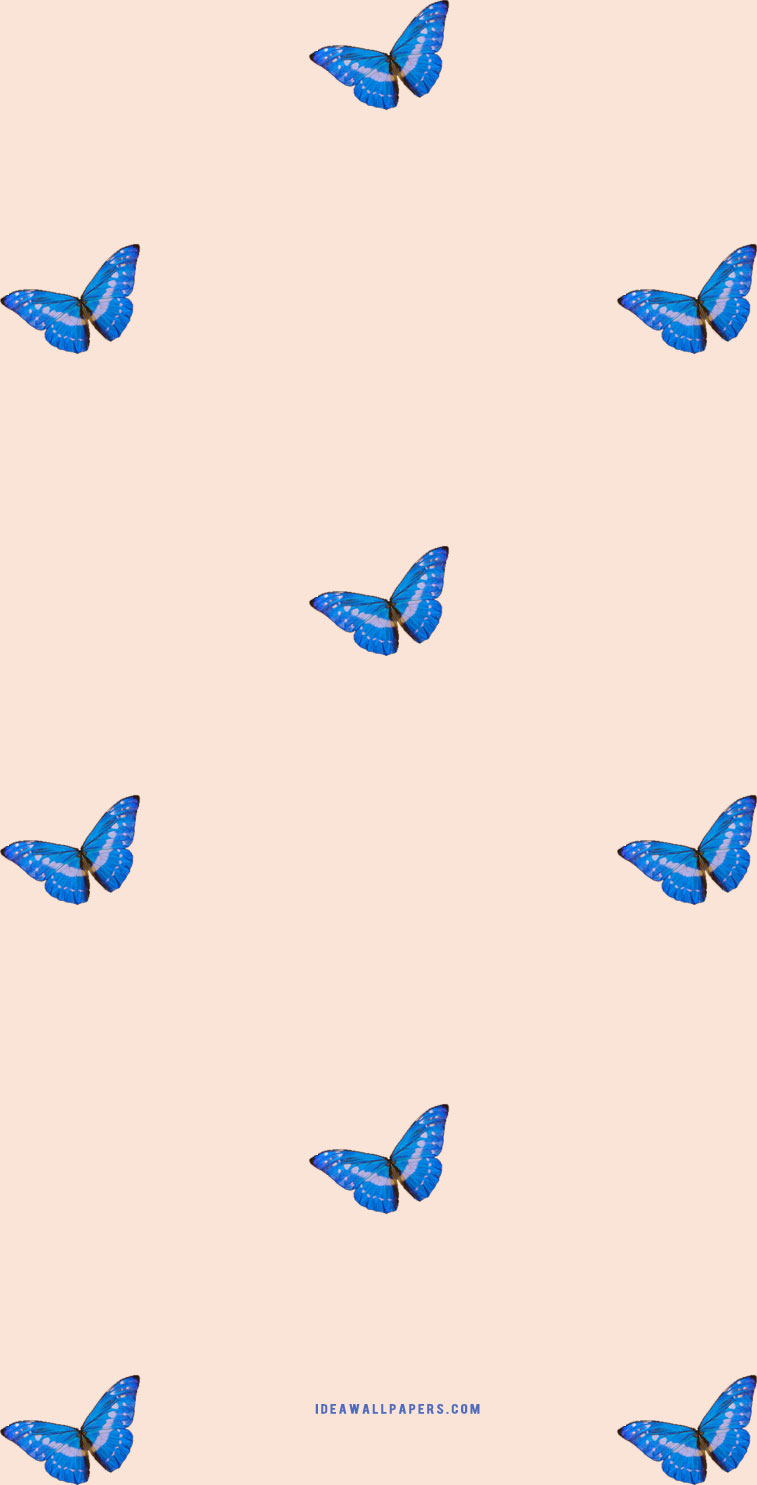 Butterfly Iphone Wallpapers