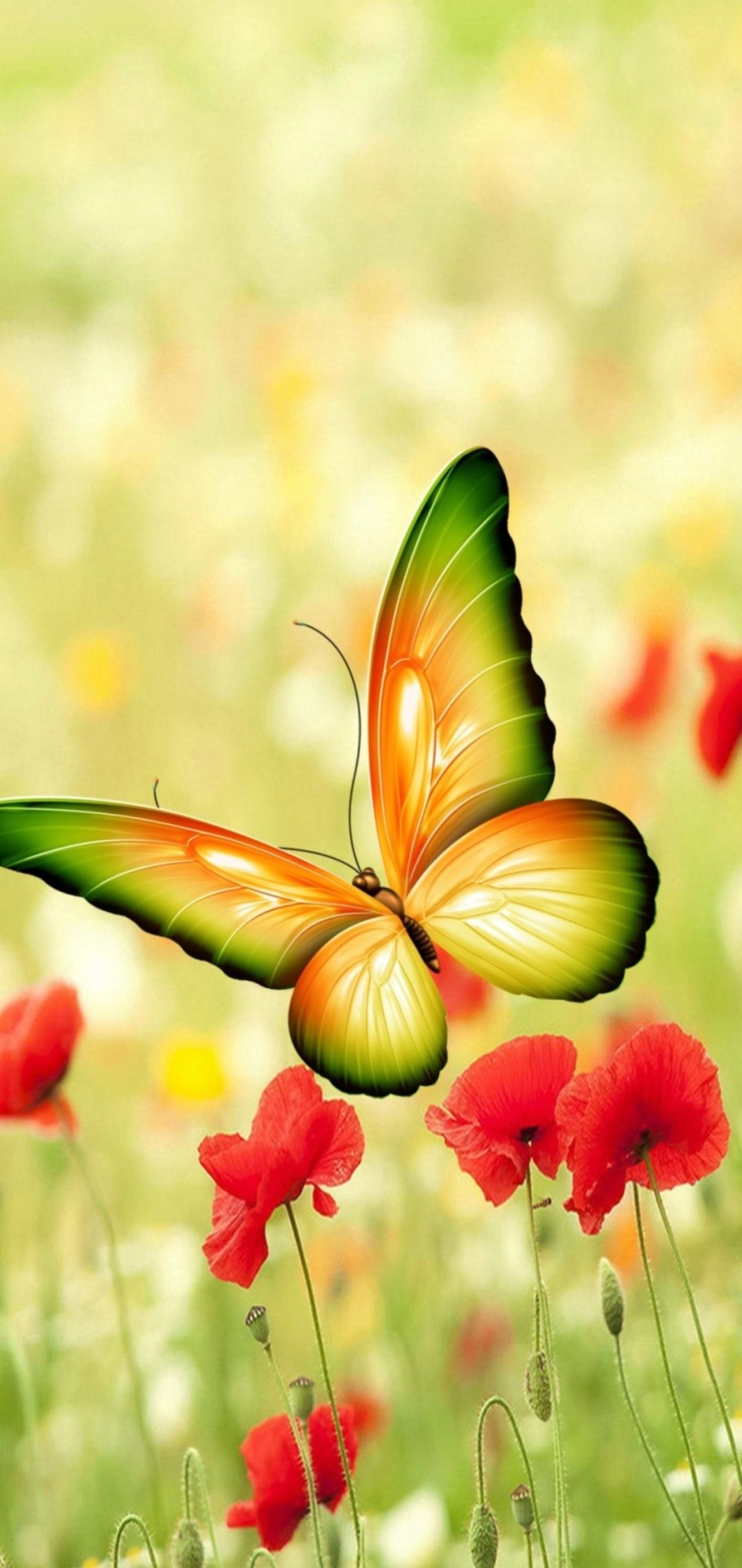 Butterfly Iphone Wallpapers