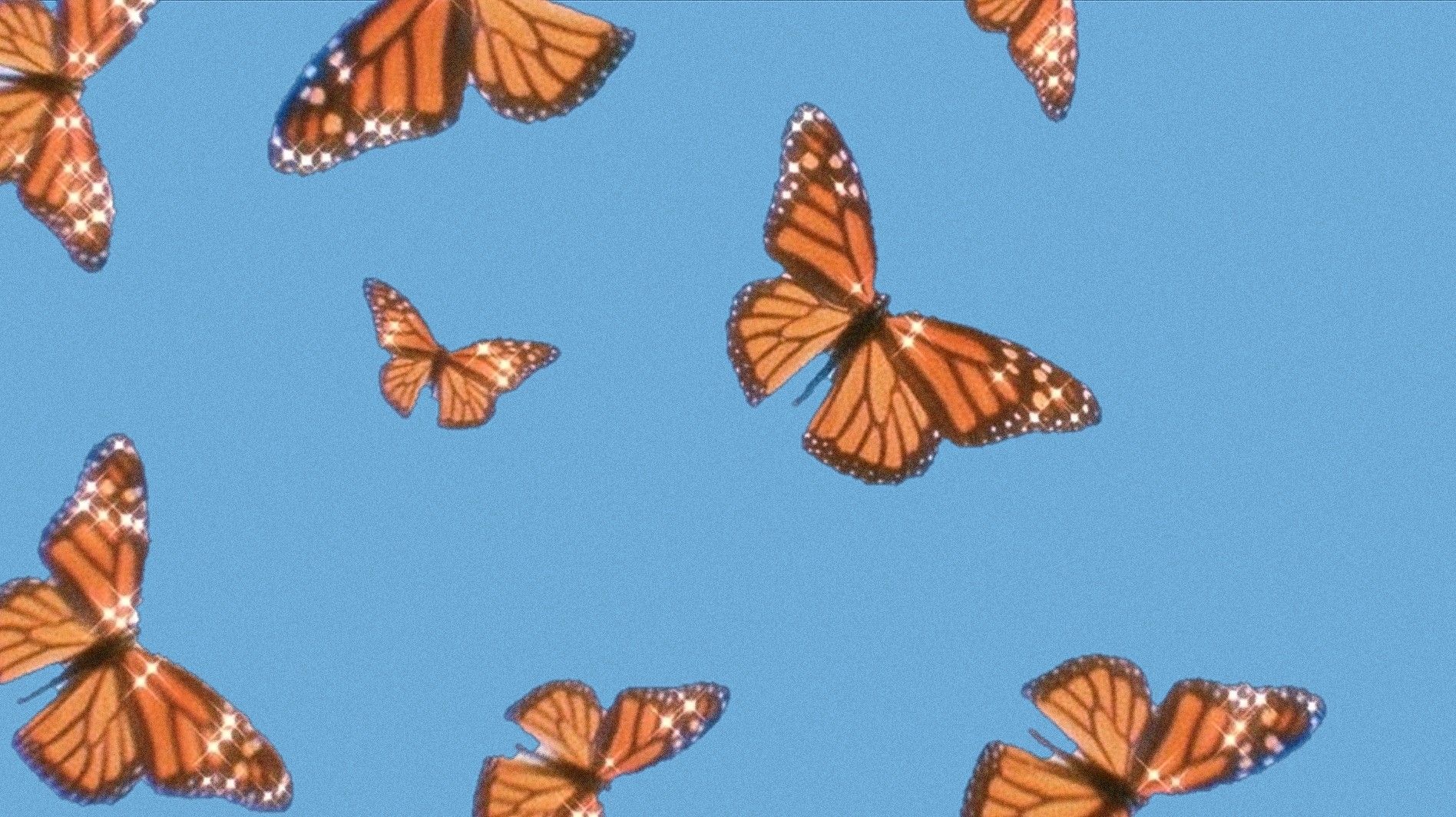 Butterfly Laptop Wallpapers