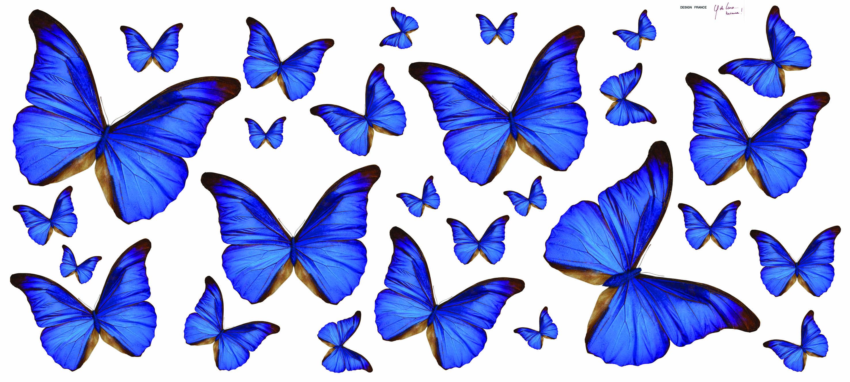 Butterfly Laptop Wallpapers