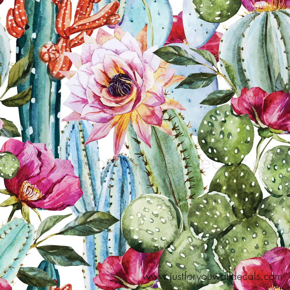 Cactus Flower Wallpapers