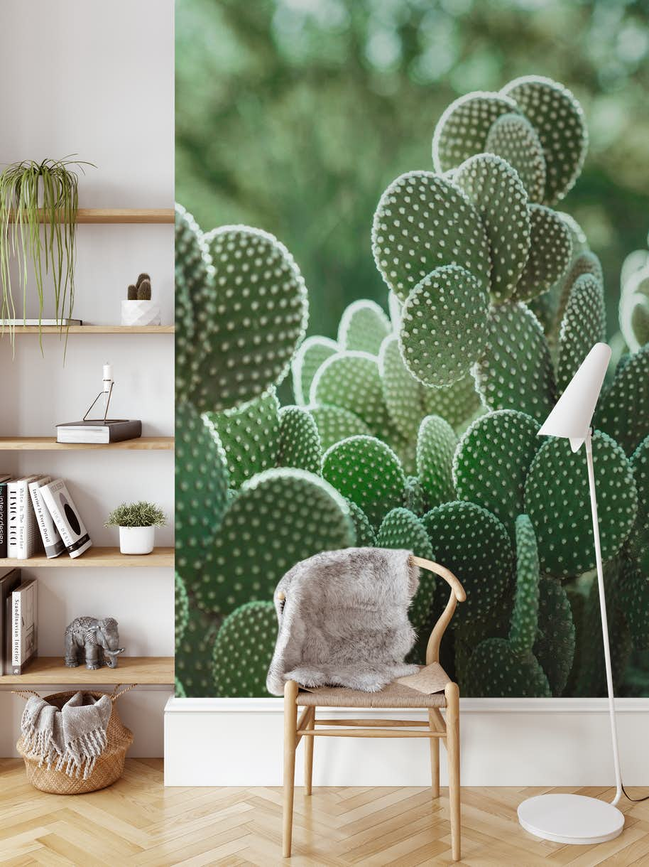 Cactus Print Wallpapers