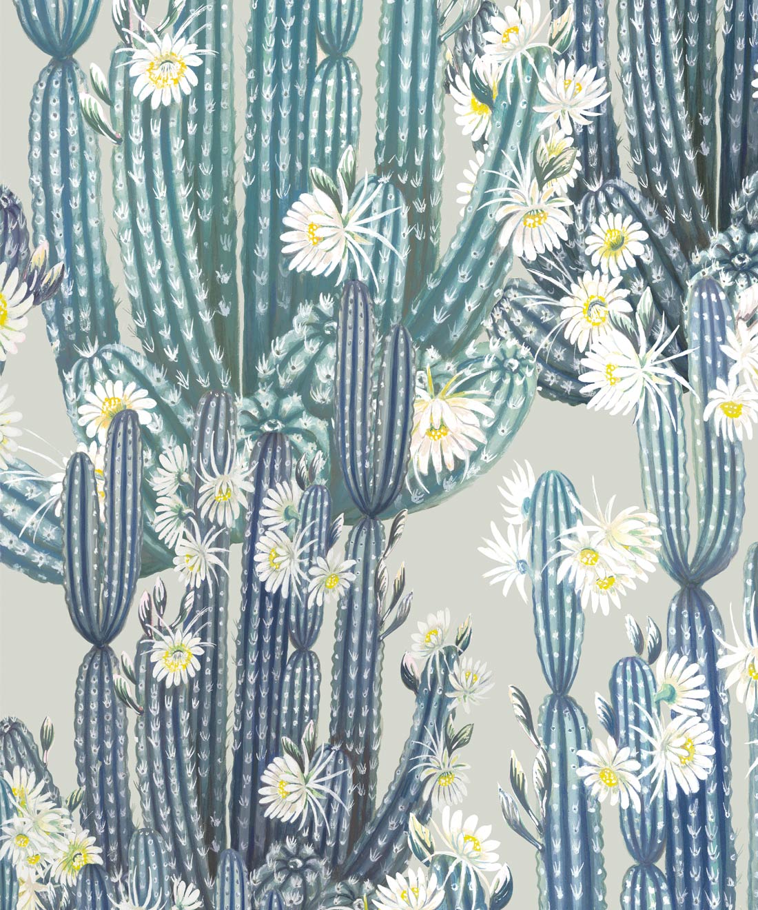 Cactus Print Wallpapers