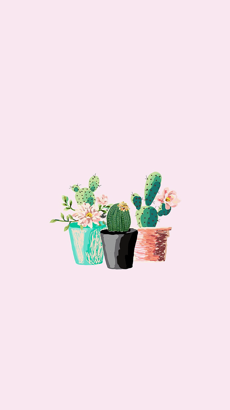 Cactus Tumblr Wallpapers