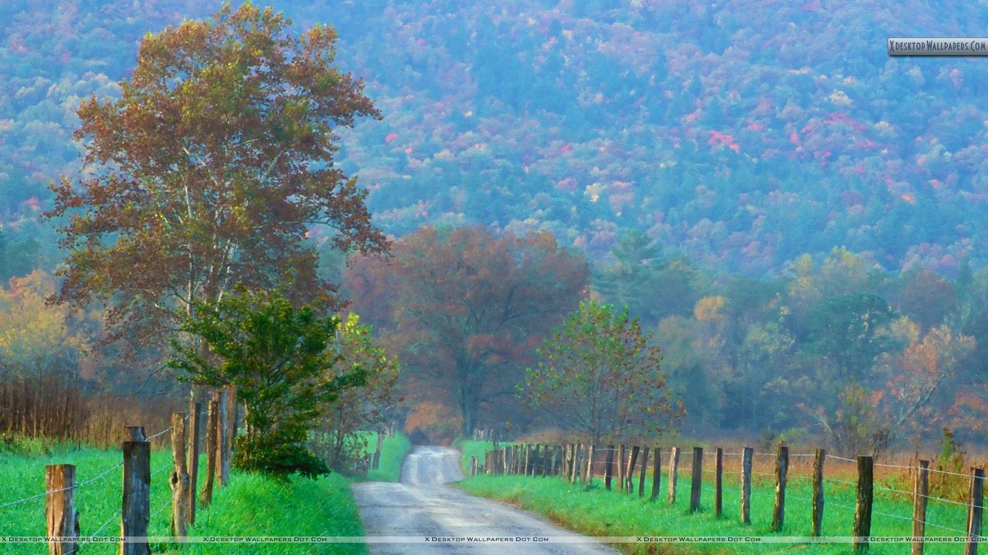 Cades Cove Wallpapers