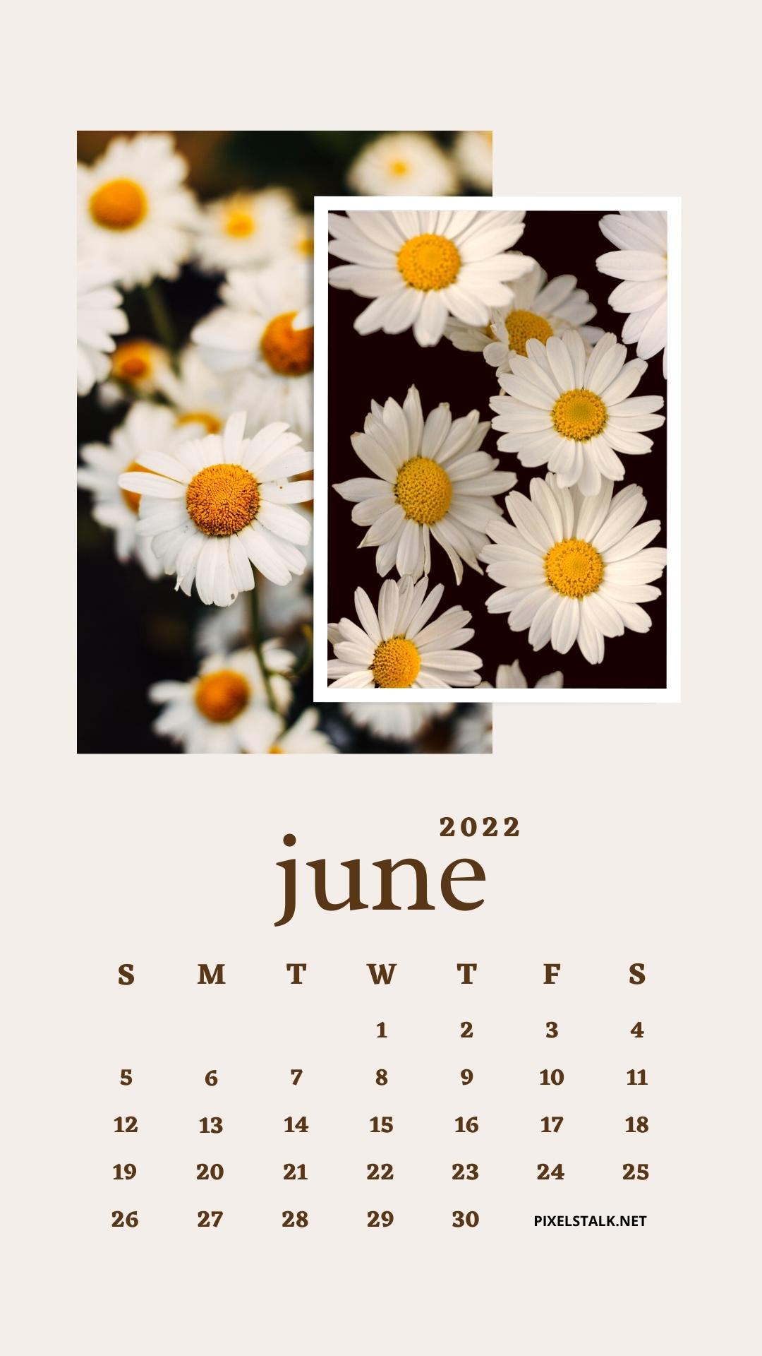 Calendar Iphone Wallpapers