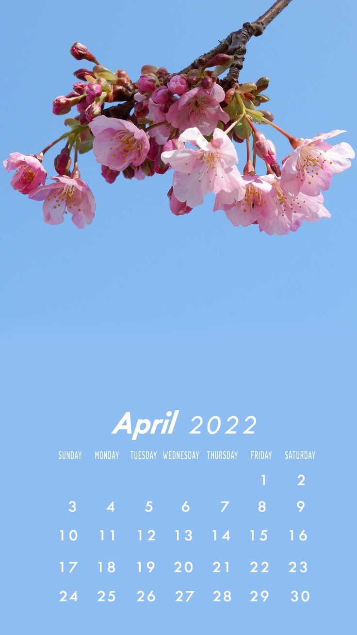 Calendar Iphone Wallpapers