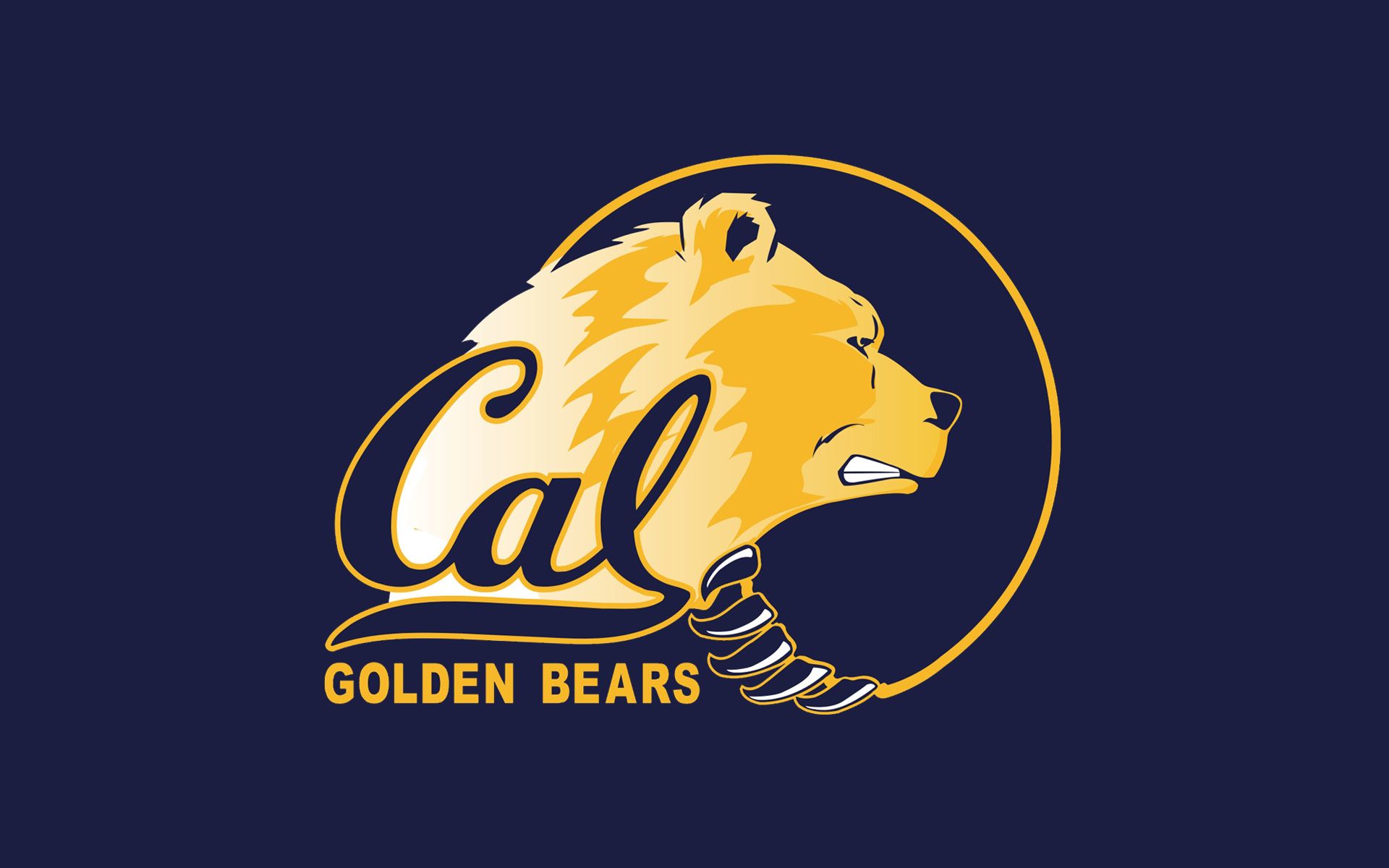 Cali Bear Wallpapers