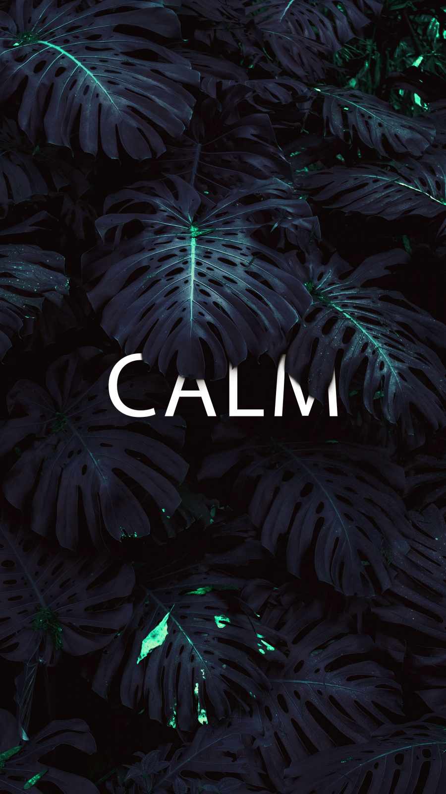 Calming Iphone Wallpapers