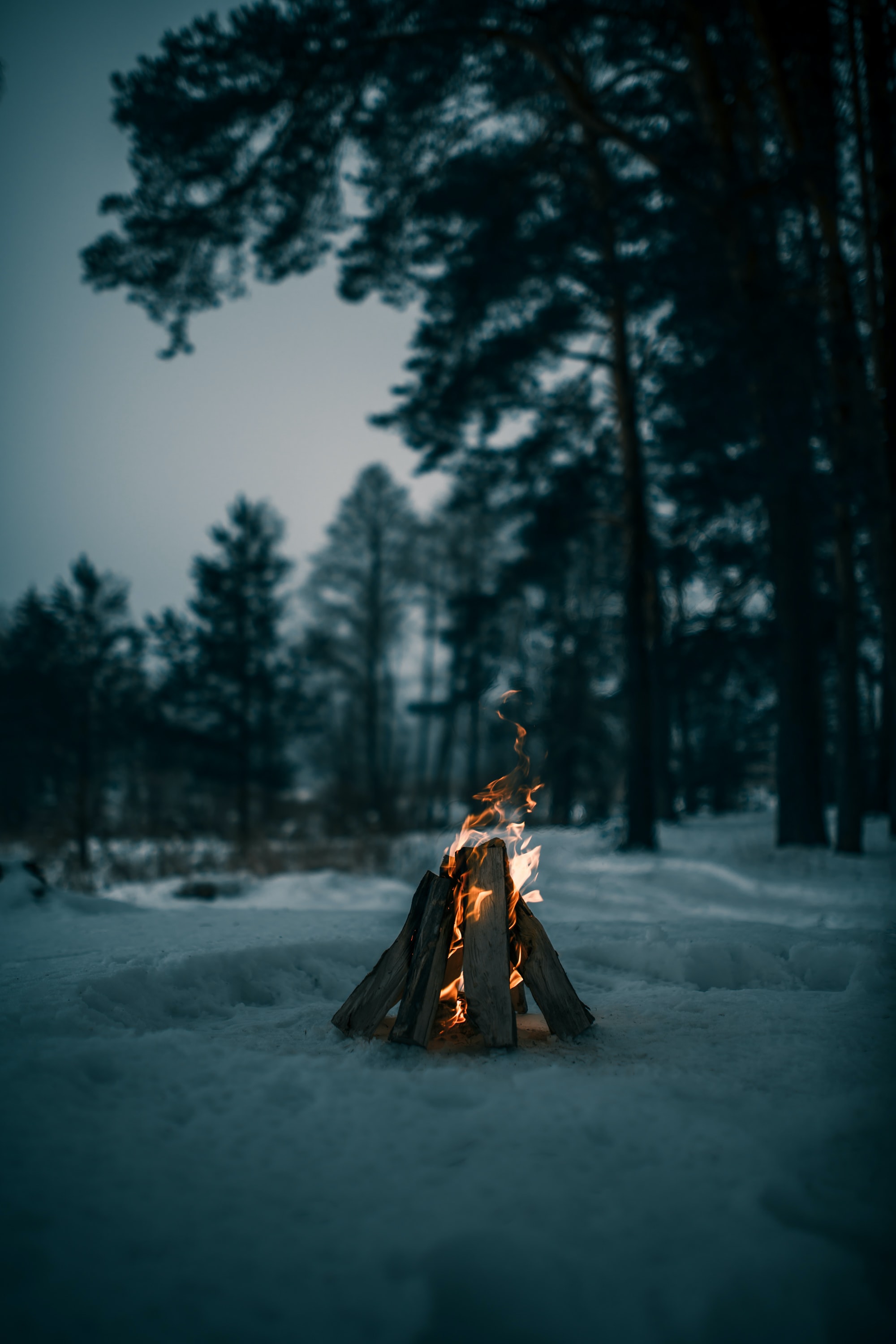 Campfire In Winter Wallpapers