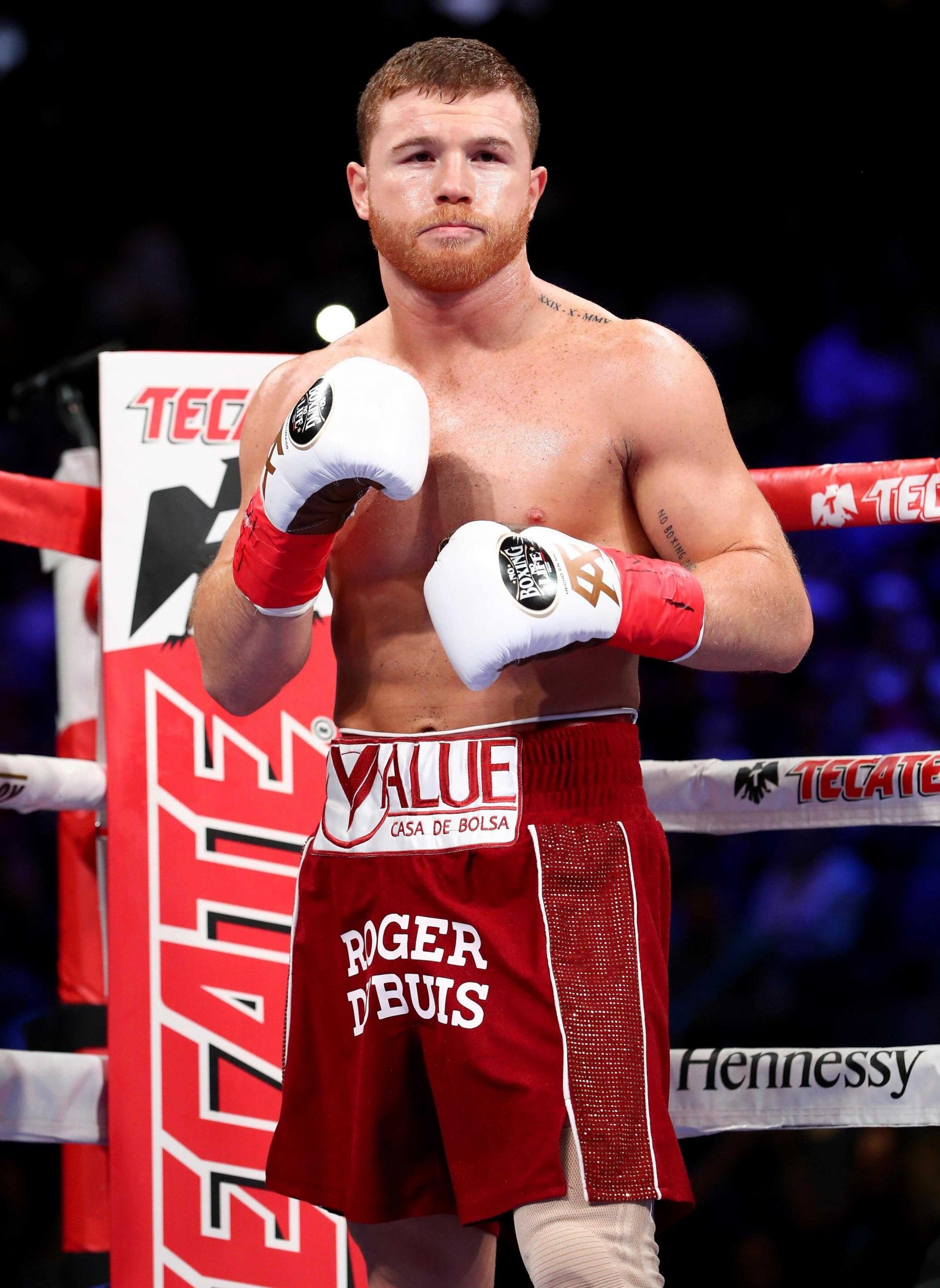 Canelo Wallpapers