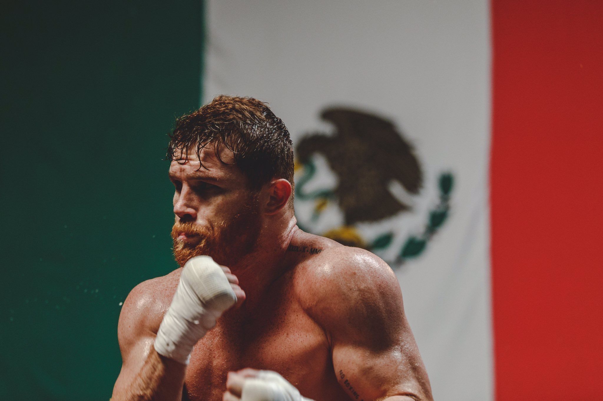 Canelo Wallpapers