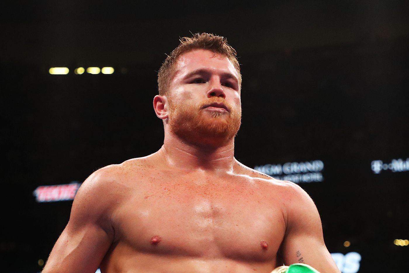 Canelo Wallpapers