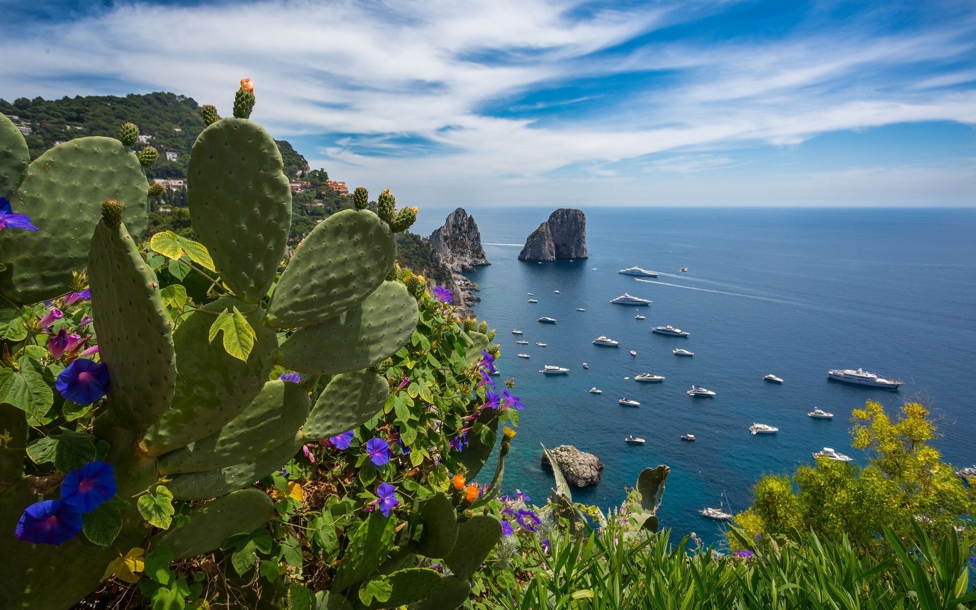 Capri Italy Wallpapers