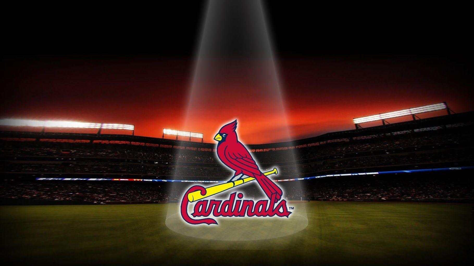 Cardinal Desktop Wallpapers