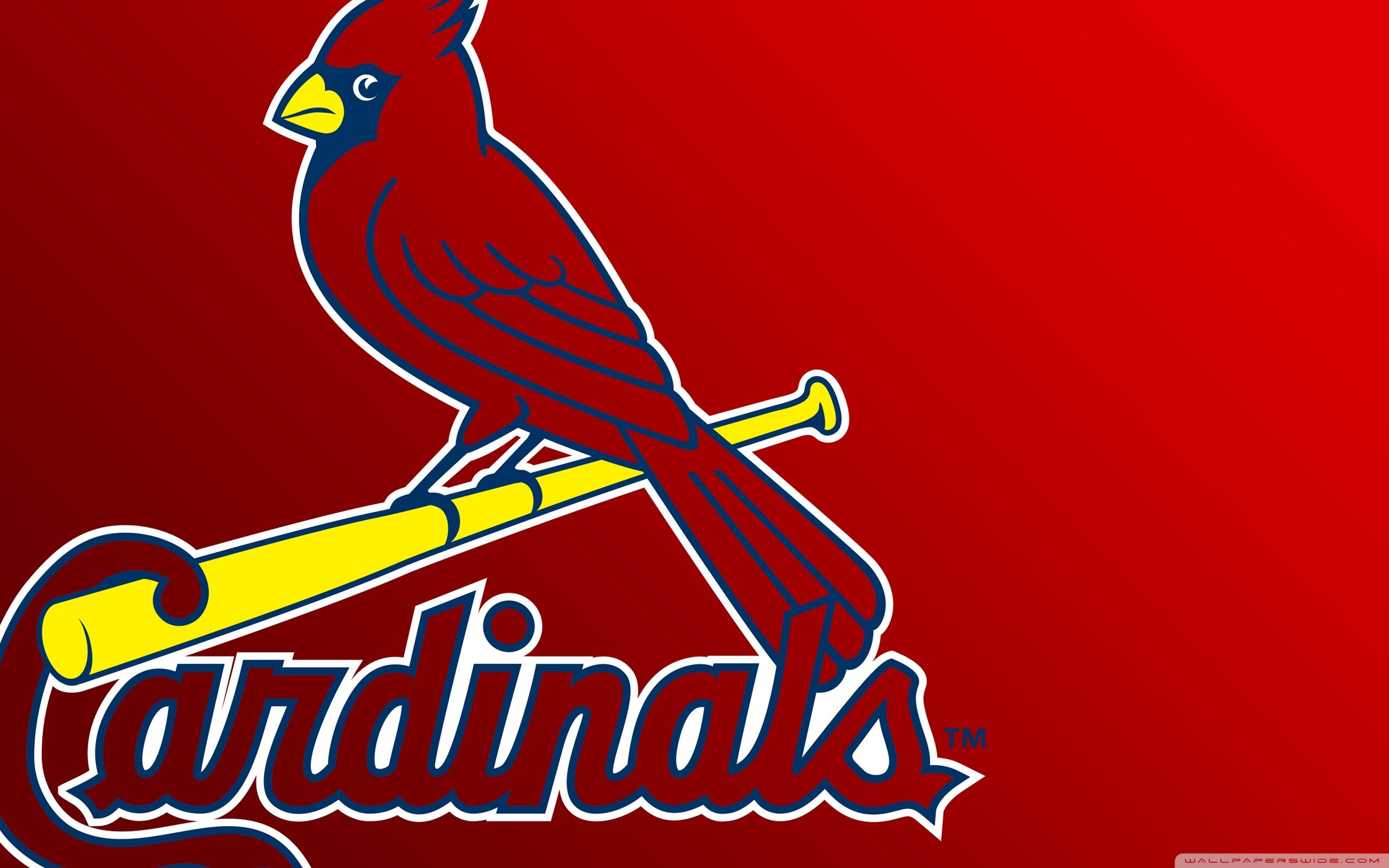 Cardinal Screensavers Wallpapers