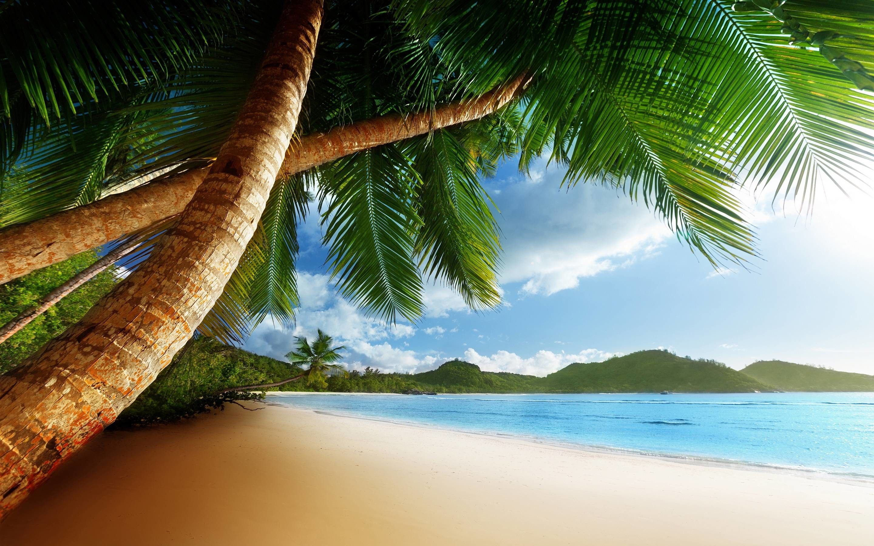 Caribbean Beaches Desktop Wallpapers