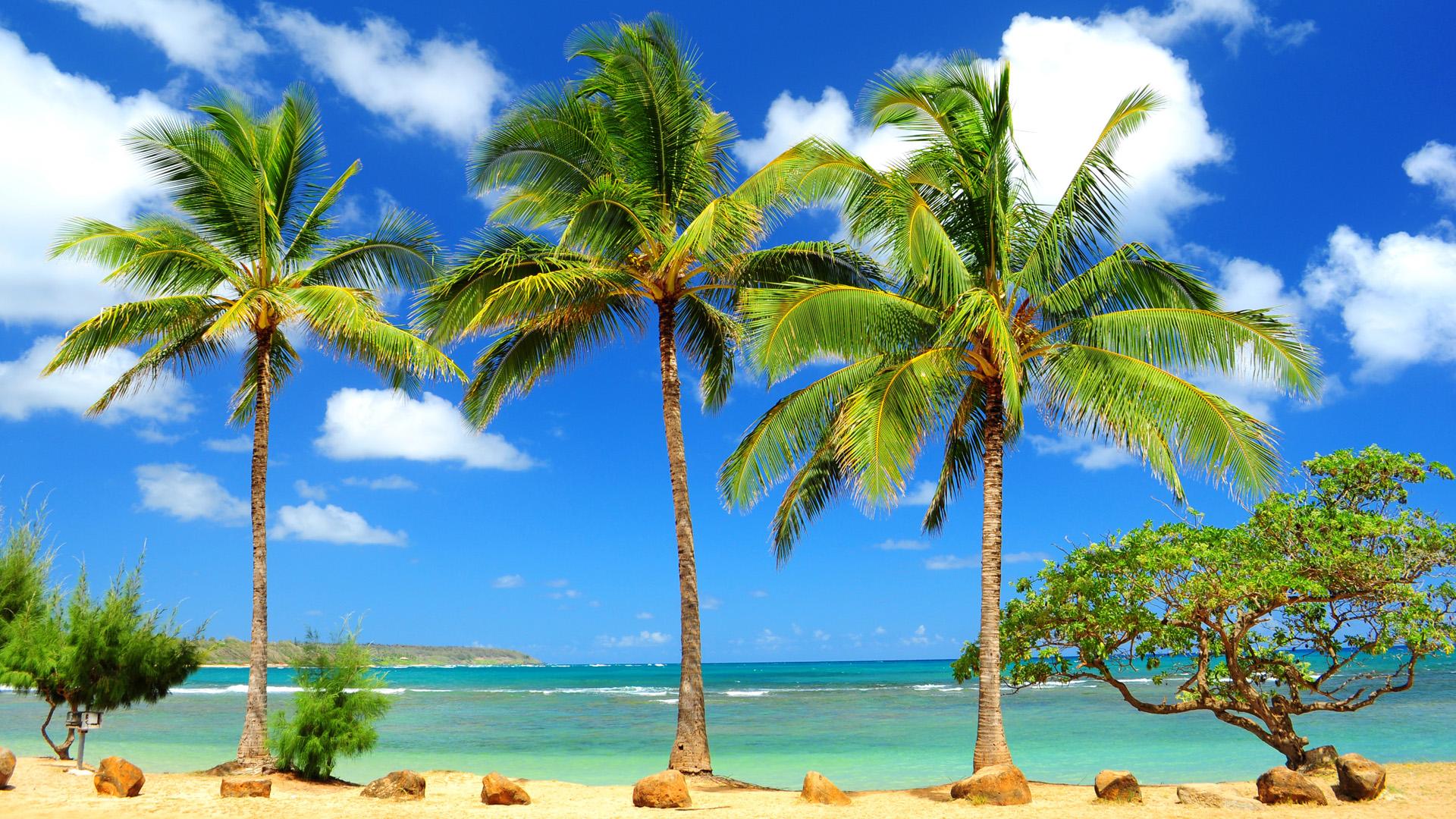 Caribbean Beaches Desktop Wallpapers