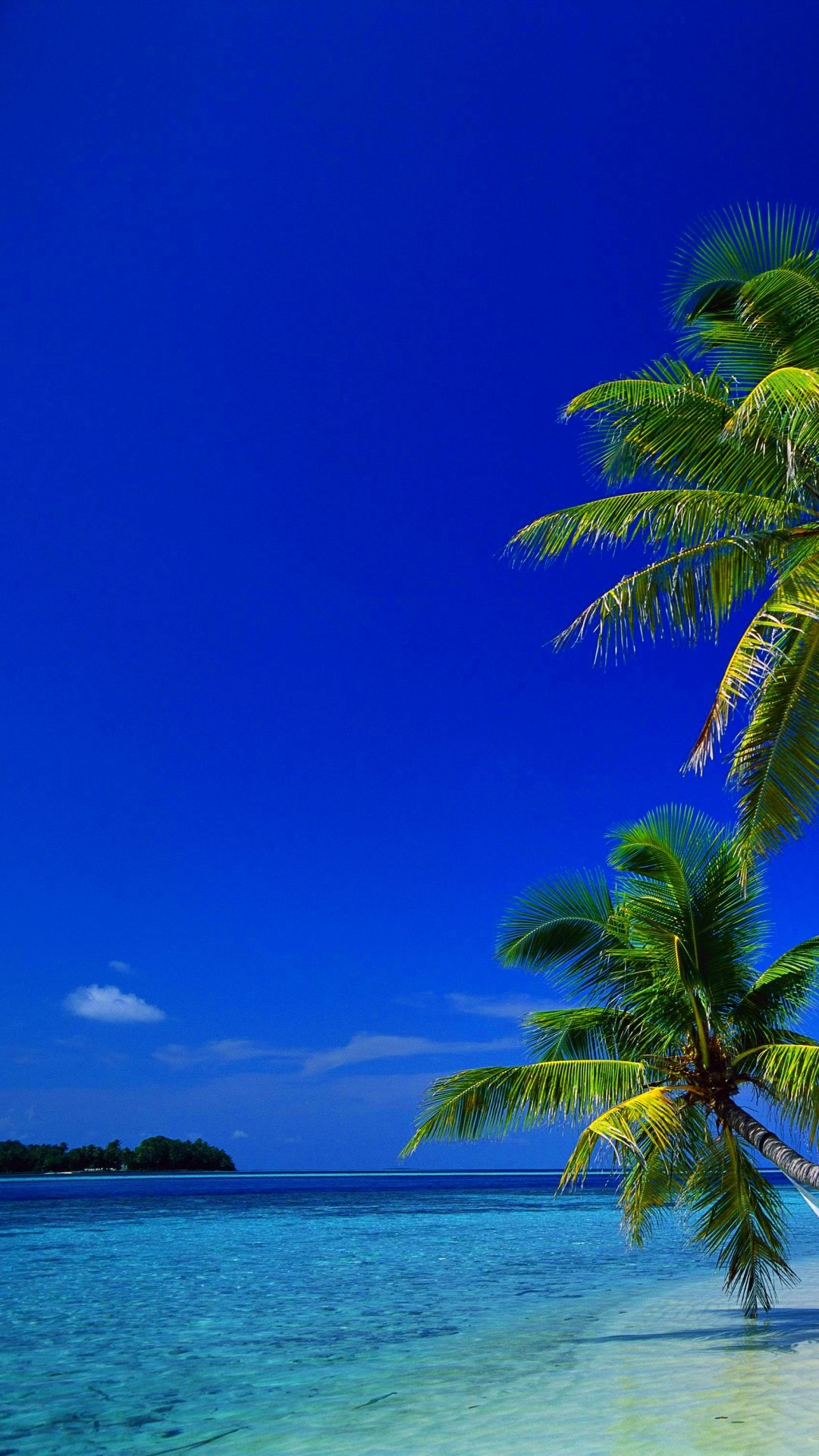 Caribbean Iphone Wallpapers