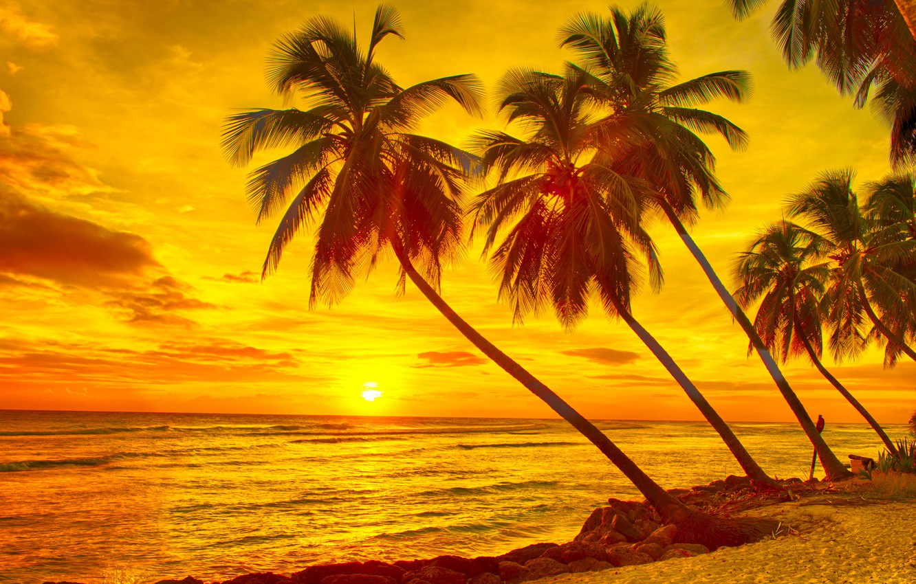 Caribbean Sunsets Wallpapers