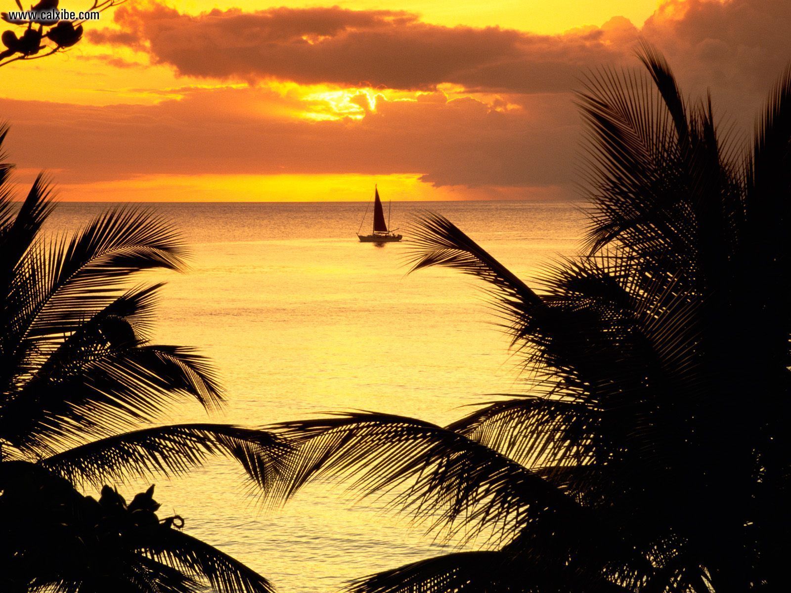 Caribbean Sunsets Wallpapers